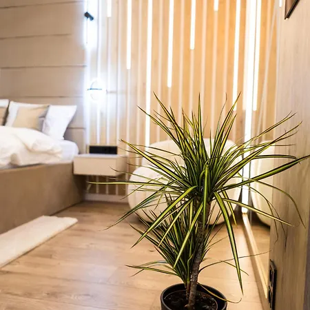 Brightnest * Cluj-Napoca