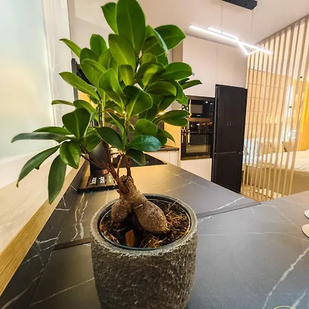 Brightnest *
