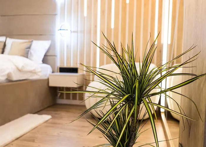 Brightnest * Cluj-Napoca